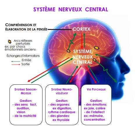 LA FREELANCERIE - Agence De Communication